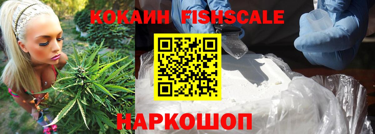 COCAIN Эквадор Кандалакша