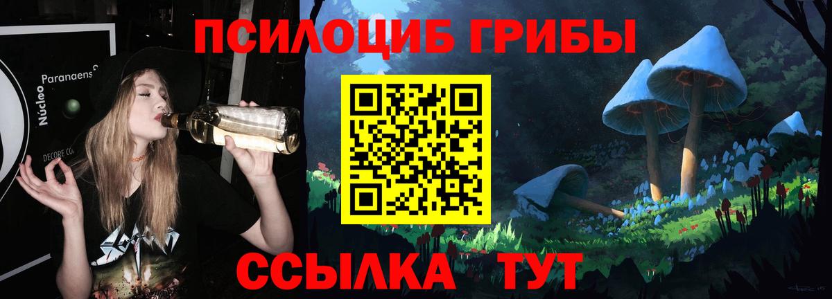 Псилоцибиновые грибы мицелий Кандалакша
